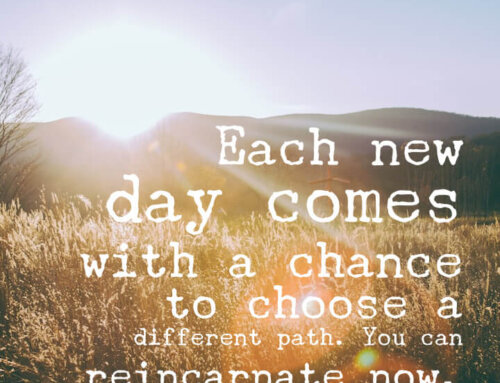 Each Day Comes with A Chance to Choose A Different Path. You Can Reincarnate Now.
