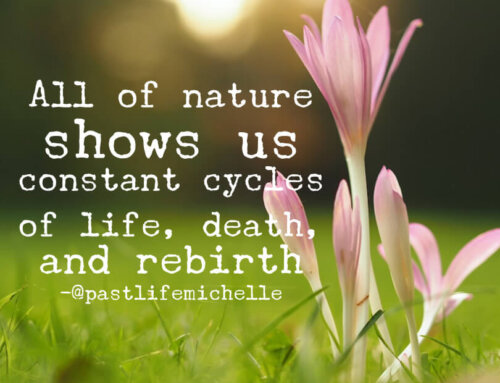 All of Nature Shows Us Constant Cycles of Life, Death, and Rebirth
