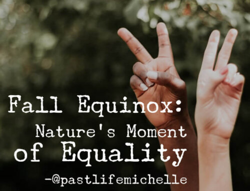 Fall Equinox: Nature’s Moment of Equality